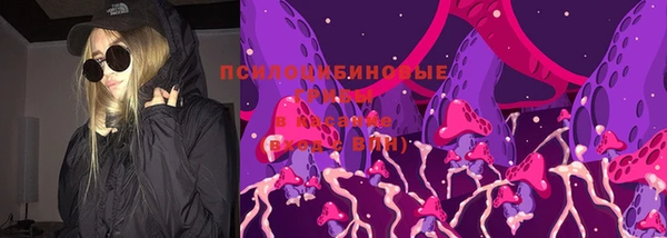 прущая мука Богданович