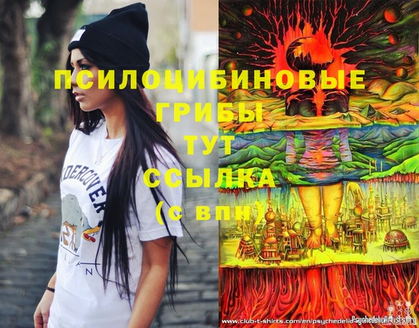 мдма Богородск