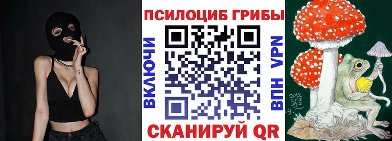 Псилоцибиновые грибы Psilocybe  MEGA как зайти  Шадринск 